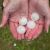 Lawndale Hail Damage by Roofing Services